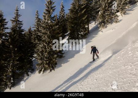 Un homme actif se déplace sur un snowboard freeride sur une pente enneigée parmi des spruces enneigés et des fermes dans un terrain d'arrière-pays dans les Carpates mountai Banque D'Images