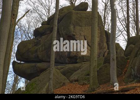 Un rocher en forme de tête de gorille dans les montagnes de Jizera en République tchèque Banque D'Images