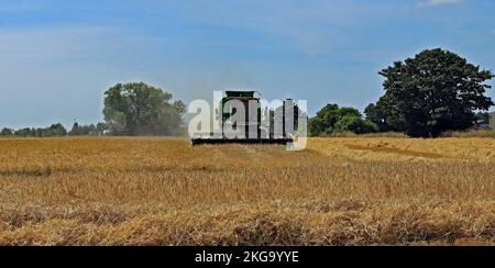 Combinaison de Higgins Lane, à Burscough. Au cours d'un après-midi chaud en juillet, la récolte de l'orge est bien en cours sous un grand ciel du Lancashire occidental. Banque D'Images