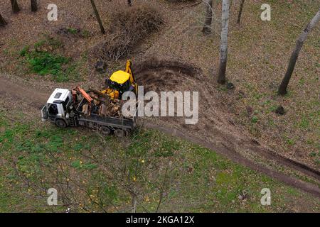 Entreprise d'aménagement paysager utilisant un tracteur et un camion avec une grue pour dégager les terres de racines et les souches déracinées. Banque D'Images