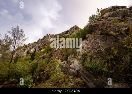 Belles falaises rocheuses et sommets de montagne, couvertes de forêt dense près de la ville d'omis, Croatie dans le canyon de la rivière Cetina Banque D'Images