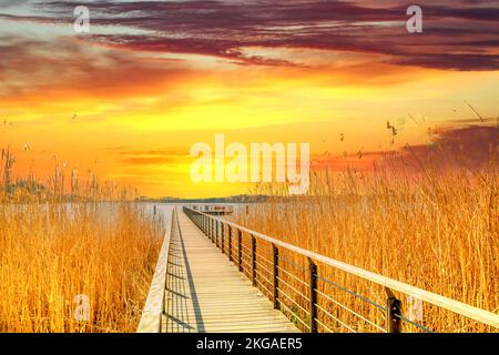 Lac Scharmuetzelsee à Bad Saarow, Allemagne Banque D'Images