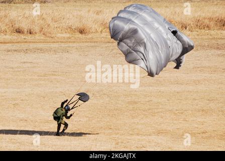 Préfecture de Chiba, Japon - 10 janvier 2010 : parachutiste de la JGSDF (force d'autodéfense terrestre du Japon). Banque D'Images