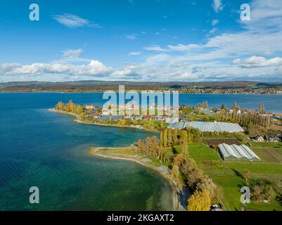 Vue sur le lac de Constance avec la partie ouest de l'île de Reichenau, Niederzell, Constance County, Bade-Wurtemberg, Allemagne, Europe Banque D'Images
