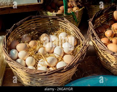 Oeufs frais de la ferme organique dans le panier de paille Banque D'Images