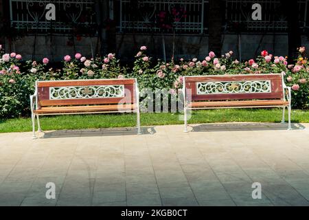 Banc en bois trouvés au milieu de rose garden Banque D'Images