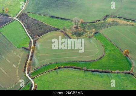 Un champ comme un coeur en automne, photographie aérienne, agriculture, champ, symbole, Schleswig-Holstein Banque D'Images