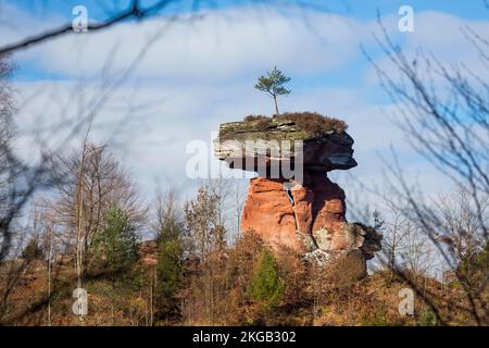 Table du diable, rocher en forme de champignon, Hinterweidenthal, Forêt du Palatinat, Rhénanie-Palatinat, Allemagne, Europe, roche en forme de champignon, Table du diable, Banque D'Images