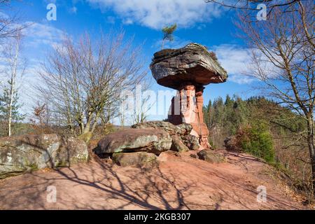 Table du diable, rocher en forme de champignon, Hinterweidenthal, Forêt du Palatinat, Rhénanie-Palatinat, Allemagne, Europe, roche en forme de champignon, Table du diable, Banque D'Images