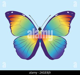 Arc-en-ciel morpho menelaus papillon. Les ailes sont remplies d'un dégradé arc-en-ciel. Aussi le corps de l'insecte est un arc-en-ciel. Vue dorsale. Illustration de Vecteur