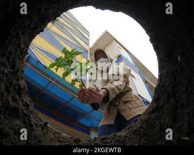 Un étudiant musulman plantant des semis d'arbre Banque D'Images