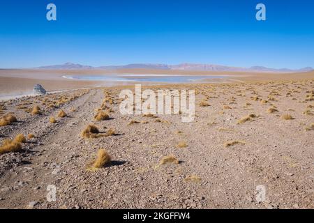 Véhicule tout-terrain arrivant à Laguna Hedionda sur l'Altiplano (hautes plaines), province de sur Lípez, Bolivie Banque D'Images