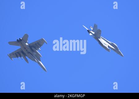 Préfecture de Kanagawa, Japon - 28 mars 2015 : Boeing EA-18G de la marine des États-Unis avion de guerre électronique Growler de VAQ-141 Shadowhawks. Banque D'Images