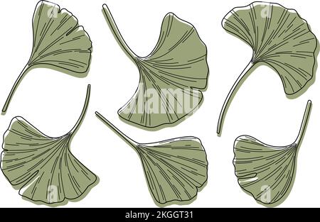 Ginkgo biloba feuilles esquisse vecteur illustration style minimaliste Illustration de Vecteur