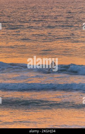 Israël, Herzliya - 05 octobre 2022: Surfeur en attente de la vague Banque D'Images