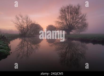 Tons violets lever de soleil au bord de la rivière Stour entre Dedham et Flatford dans le Suffolk. Silhouettes d'arbres contre le soleil chaud et levant et le ciel pourpre. Banque D'Images