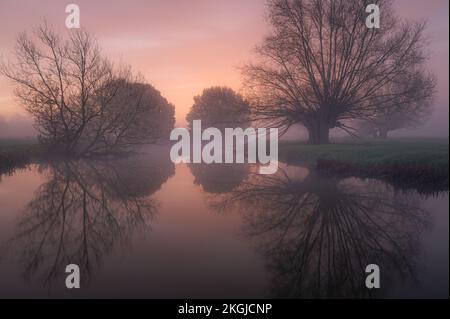 Tons violets lever de soleil au bord de la rivière Stour entre Dedham et Flatford dans le Suffolk. Silhouettes d'arbres contre le soleil chaud et levant et le ciel pourpre. Banque D'Images