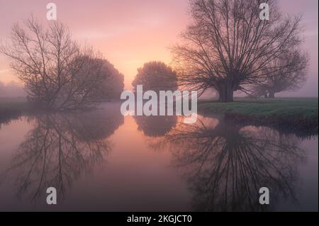 Tons violets lever de soleil au bord de la rivière Stour entre Dedham et Flatford dans le Suffolk. Silhouettes d'arbres contre le soleil chaud et levant et le ciel pourpre. Banque D'Images