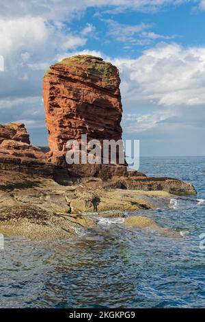 Vue sur la pile de grès rouge de Deil's Heid (Devils Head), Seaton Cliffs, Arbroath, Écosse Banque D'Images