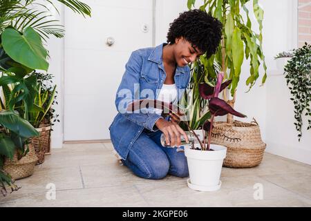 Bonne jeune femme arroser les plantes avec une bouteille Banque D'Images