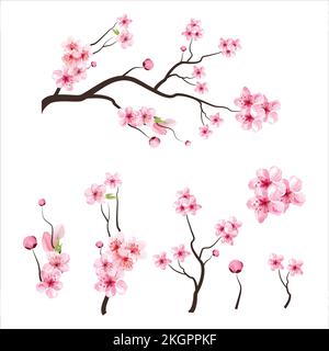 illustration de vecteur d'arbre de branche été clipart automne clipart nature forêt, arrière-plan fleur de cerisier fleur printemps fleur Japon, branche de sakura en fleur Illustration de Vecteur