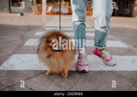 Femme avec chien traversant la rue Banque D'Images