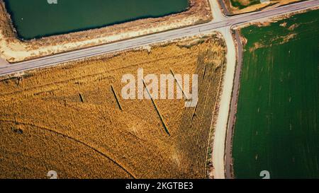 Espagne, Aragon, Huesca, vue aérienne des routes de campagne s'étendant à travers les champs de maïs sec Banque D'Images