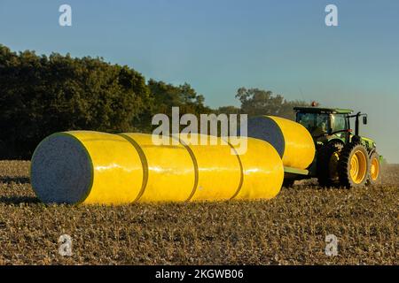 Rural Arkansas, États-Unis - 1 octobre 2022: Un tracteur John Deere ramasse les voiles de coton des moissonneuses et les transporte pour les empiler avec d'autres Banque D'Images