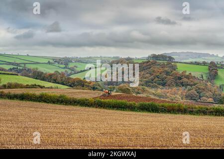 Un panorama coloré d'un cadre agricole montrant une mosaïque de terres agricoles cultivées par tracteur en novembre, palette d'automne. Banque D'Images