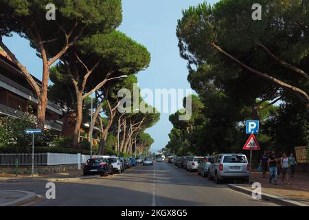 Rue bordée de voitures garées et de hauts pins de pierre italiens à l'extérieur de Parco Degli Acquedotti, un parc public Aqueduct à la périphérie de Rome, en Italie. Banque D'Images