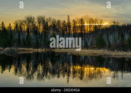 Lever de soleil de novembre au-dessus d'un étang de castors, Grand Sudbury, Ontario, Canada Banque D'Images