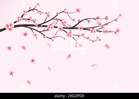 Vecteur de cerisier japonais. Chute des feuilles de cerisiers en fleurs. Branche réaliste de cerisiers en fleurs. Rose Sakura fleur tombant. Branche Sakura avec rose wa Illustration de Vecteur