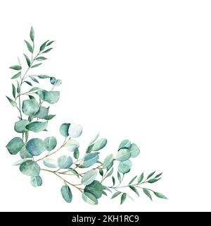 Bouquet de feuillage aquarelle, coin. Eucalyptus et branches de pistache. Illustration botanique dessinée à la main isolée sur fond blanc. Peut être utilisé pour Banque D'Images