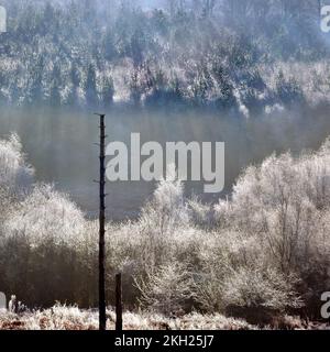 Les premiers signes de l'hiver se sont englatés dans la région de Cannock Chase d'une beauté naturelle exceptionnelle à la fin de l'automne dans le Staffordshire Banque D'Images