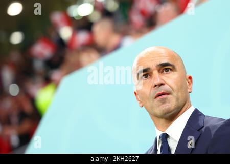 Doha, Qatar. Al Rajjan, Qatar. 23rd novembre 2022. Soccer, Qatar coupe du monde 2022, Belgique - Canada, cycle préliminaire, Groupe F, Matchday 1 au stade Ahmad bin Ali à Al-Rajjan, l'entraîneur belge Roberto Martinez se tient sur le terrain. Credit: Tom Weller/dpa/Alay Live News Credit: dpa Picture Alliance/Alay Live News Banque D'Images