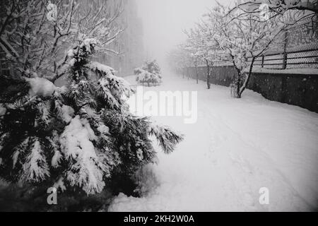 Paysage d'hiver avec arbres enneigés et route. Mise au point sélective. Arrière-plan d'hiver Banque D'Images