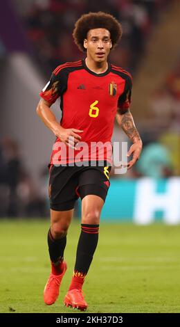 Al Rayyan, Qatar. 23rd novembre 2022. Axel Witsel de Belgique lors du match de la coupe du monde de la FIFA 2022 au stade Ahmad bin Ali, Al Rayyan. Le crédit photo devrait se lire: David Klein/Sportimage crédit: Sportimage/Alay Live News Banque D'Images