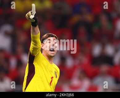 Al Rayyan, Qatar. 23rd novembre 2022. Thibaut courtois de Belgique lors du match de la coupe du monde de la FIFA 2022 au stade Ahmad bin Ali, Al Rayyan. Le crédit photo devrait se lire: David Klein/Sportimage crédit: Sportimage/Alay Live News Banque D'Images