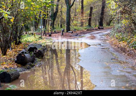 Marlow Common, Royaume-Uni. 23rd novembre 2022. Les routes locales ont été inondées aujourd'hui autour de Marlow Common à la suite de fortes pluies au cours de la semaine dernière. 84 alertes d'inondation et 3 avertissements d'inondation sont actuellement en place dans tout le Royaume-Uni. Thames Water a maintenant supprimé l'interdiction de l'pipe-pipe qui a été en place depuis quelques mois après la canicule cet été. Crédit : Maureen McLean/Alay Live News Banque D'Images