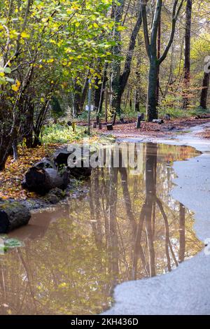 Marlow Common, Royaume-Uni. 23rd novembre 2022. Les routes locales ont été inondées aujourd'hui autour de Marlow Common à la suite de fortes pluies au cours de la semaine dernière. 84 alertes d'inondation et 3 avertissements d'inondation sont actuellement en place dans tout le Royaume-Uni. Thames Water a maintenant supprimé l'interdiction de l'pipe-pipe qui a été en place depuis quelques mois après la canicule cet été. Crédit : Maureen McLean/Alay Live News Banque D'Images