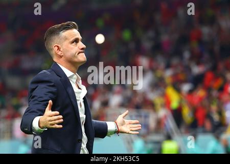 Doha, Qatar. Al Rajjan, Qatar. 23rd novembre 2022. Soccer, Qatar coupe du monde 2022, Belgique - Canada, ronde préliminaire, Groupe F, rencontre 1 au stade Ahmad bin Ali à Al-Rajjan, l'entraîneur canadien John Herdman gestes après le match. Credit: Tom Weller/dpa/Alay Live News Credit: dpa Picture Alliance/Alay Live News Banque D'Images