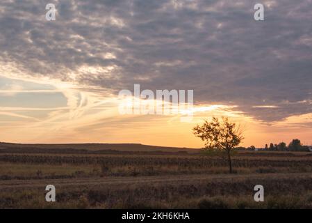 Lever du soleil sur le chemin de St. James dans la haute plaine de Meseta du nord de l'Espagne. Banque D'Images