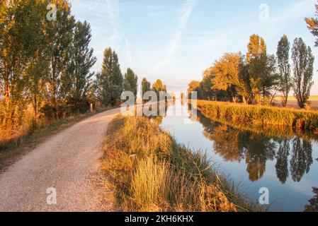 Un matin tranquille sur le chemin de St. James le long du canal de Castilla. Banque D'Images