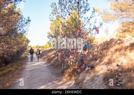 Un arbre plein de bons voeux. Les pèlerins ont laissé des boucles et des longes colorées sur un arbre à côté du Camino de Santiago près de Torres del Rio à Navarre, dans le nord de l'Espagne. Banque D'Images