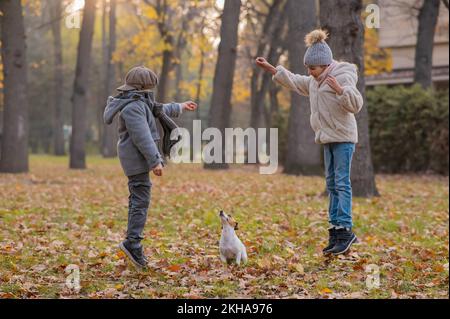 Les enfants du Caucase marchent avec le Jack russell terrier dans le parc d'automne. Garçon, fille et chien sautent à l'extérieur. Banque D'Images