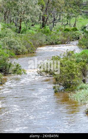 Apsley River après une forte pluie traversant le Bush australien près de Walcha NSW. Banque D'Images