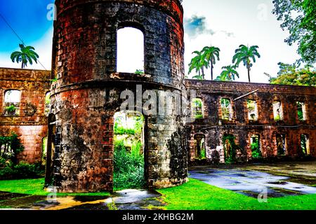 Le Breataking et le magnifique parc national de Farley Hill; Farley Hill; St. Peter; Barbade; Caraïbes Banque D'Images