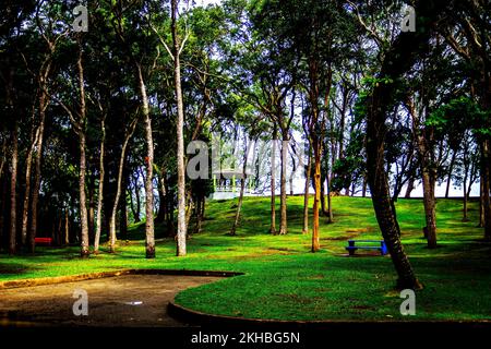 Le Breataking et le magnifique parc national de Farley Hill; Farley Hill; St. Peter; Barbade; Caraïbes Banque D'Images