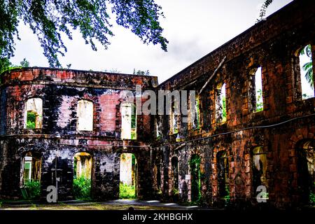 Le Breataking et le magnifique parc national de Farley Hill; Farley Hill; St. Peter; Barbade; Caraïbes Banque D'Images