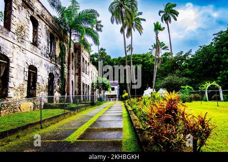 Le Breataking et le magnifique parc national de Farley Hill; Farley Hill; St. Peter; Barbade; Caraïbes Banque D'Images